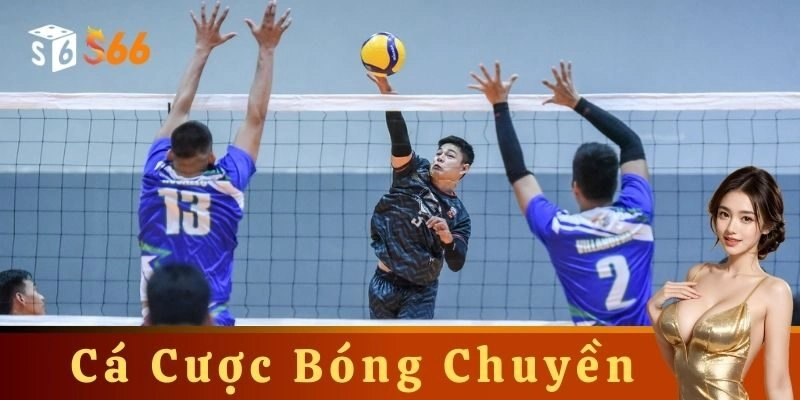 Cách chơi cá cược bóng chuyền và ví dụ thực tế