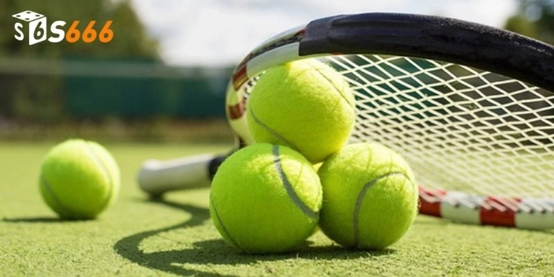 Bí kíp chơi cá cược tennis luôn thắng từ cao thủ