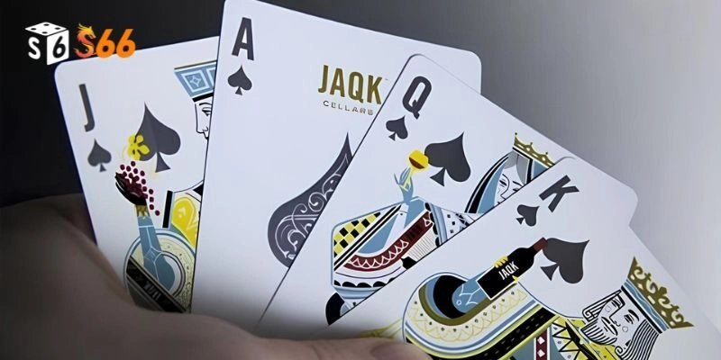 Mẹo cực hay ăn đậm tiền catte từ chuyên gia cá cược