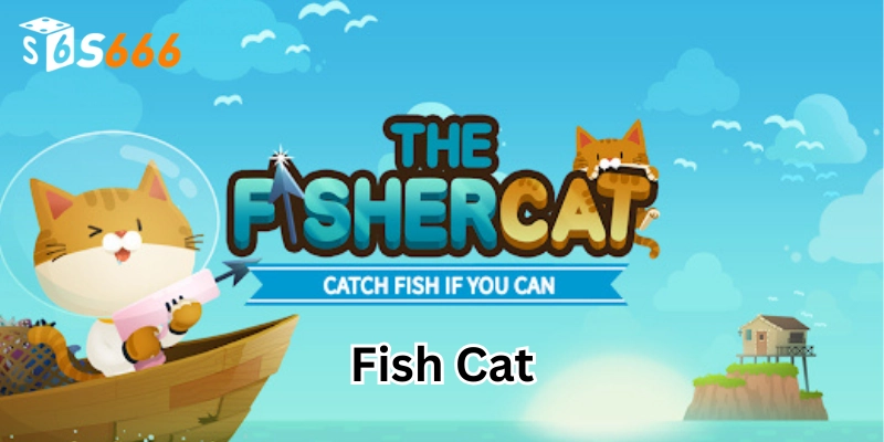 Fish Cat là gì? 