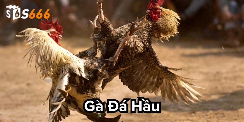 5 cái bẫy đặc biệt nên tránh xa